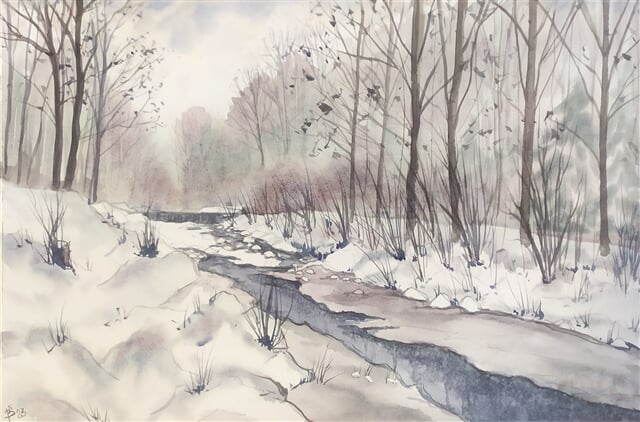 Hluchová pod sněhem