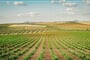 Foto - Španělská Extremadura + ŘÍMSKÉ DĚDICTVÍ + GURMÁNSKÉ TRADICE REGIONU (letecky z P