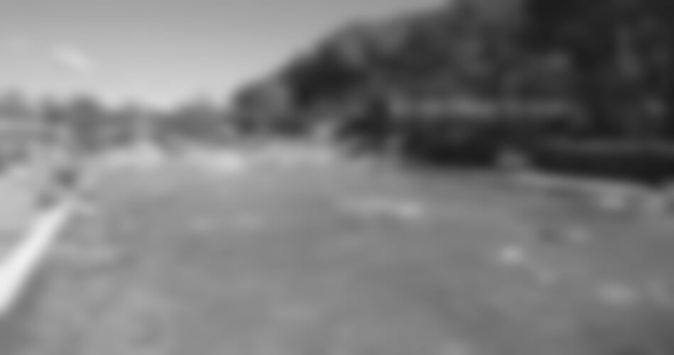 Camping Free Beach*** - Marina di Bibbona
