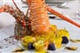 lobster_for_stand1920x850.jpeg