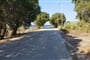 road-at-the-beach