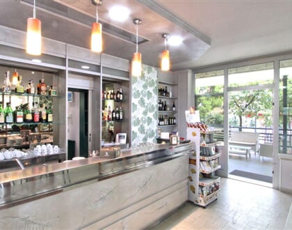 Hotel Pineta, San Benedetto del Tronto (4)