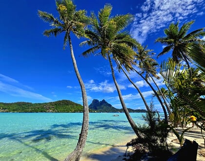 Tahiti (4)