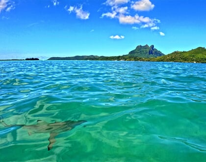 Tahiti (8)