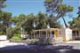 MBH Dalmatia