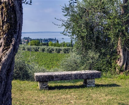 Residence Ca' Mure   Bardolino (3)