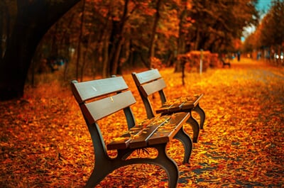 benches-560435_1920