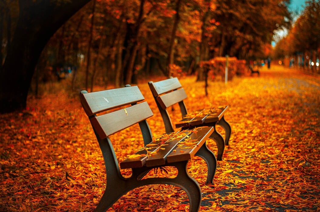benches 560435 1920