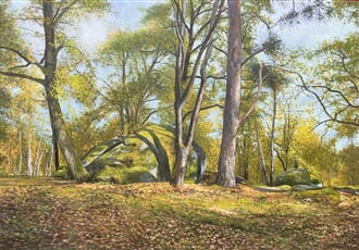 Husova kazatelna IV