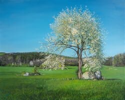 StaraTresenZaKacenou