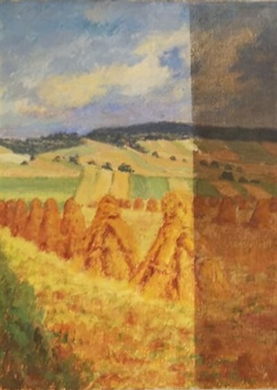 Ve žních