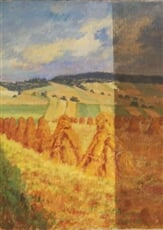 Ve žních