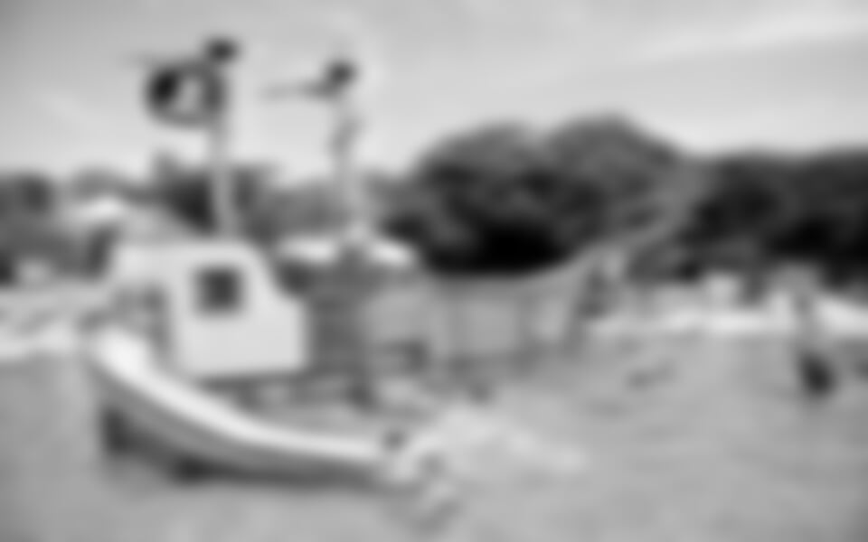 Camping Cá Savio *** - Cavallino