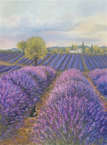 Levandule v Aix II, olej na plátně 60 x 80 cm