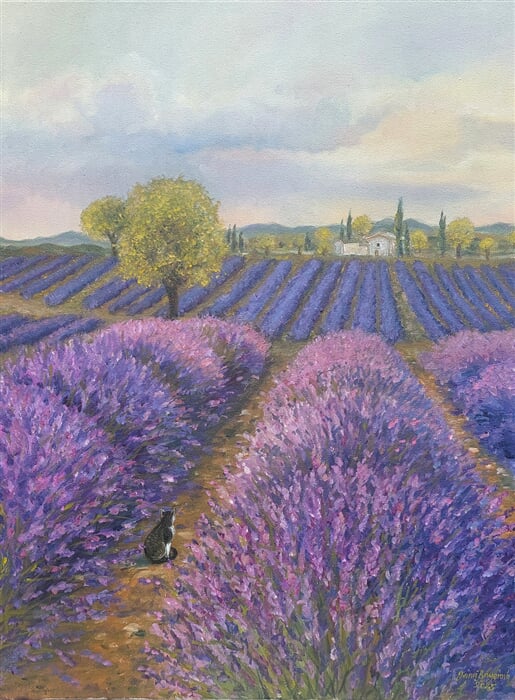 Levandule v Aix II, olej na plátně 60 x 80 cm