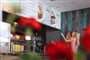 Vivat hotel - U bazénu - Moravske Toplice - 101 CK Zemek - Slovinsko