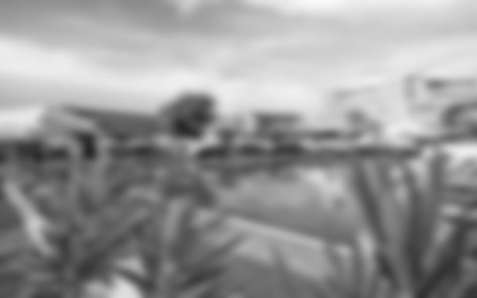 Trianta/Ixia - smartline Cosmopolitan (ex MAREBLUE) ****