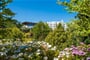 Foto - Pogorzelica - Hotel Sandra SPA v Pogorzelica