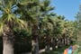 esperos-palace-resort-enlarge (19)