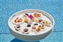 atlantica_imperial_5207