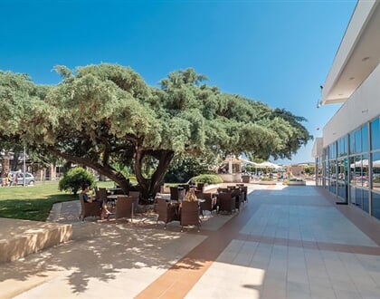 Hotel Montenegro Beach Resort: fotografie vybavení exteriérů a interiérů ubytování.