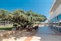 Hotel Montenegro Beach Resort: fotografie vybavení exteriérů a interiérů ubytování.
