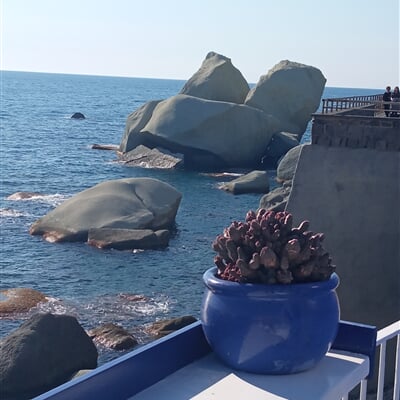 Forio centrum Ischia Consultour (2)