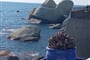 Forio centrum Ischia Consultour (2)