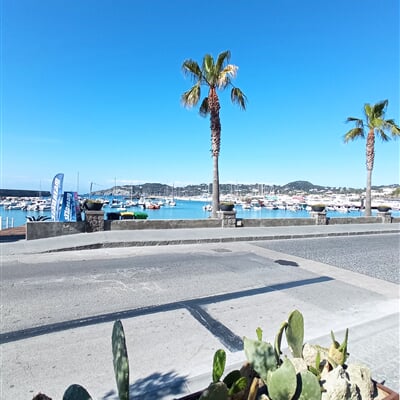 Forio centrum Ischia Consultour (3)