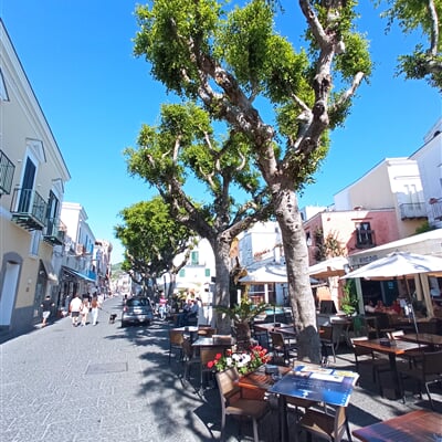Forio centrum Ischia Consultour (6)