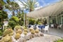 hotel Terme Mediterraneo Forio (12)