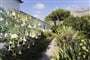 hotel Terme Mediterraneo Forio (3)
