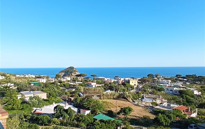 Sant´Angelo Ischia Consultour (9)