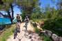 Aminess Senses Resort - Vrboska (ostrov Hvar) - 101 CK Zemek - Chorvatsko