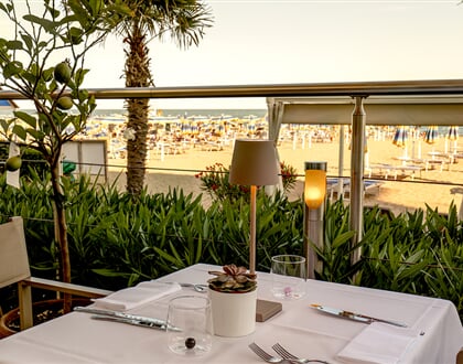 Hotel Vidimiramare & Delfino, Jesolo official (4)