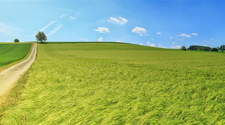 field, countryside, panorama, meadow, nature, scenic, rural, outdoors