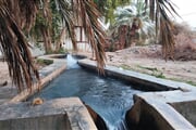 Bahariya 02