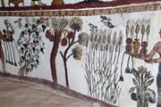 Dachla   Muzawwaka 01