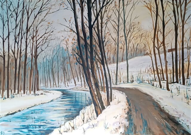 Zimní procházka kolem Hluchové