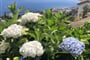Madeira