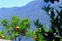 Švýcarsko, Lago Maggiore