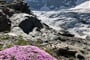 Švýcarsko, expres, St. Moritz, Matterhorn