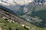 Švýcarsko, expres, St. Moritz, Matterhorn
