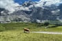 Švýcarsko, Jungfrau, Eiger