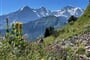 Švýcarsko, Jungfrau, Eiger