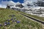 Švýcarsko, Jungfrau, Eiger