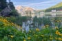 Dolomity, Tre Cime, Misurina