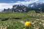 Dolomity, Tre Cime, Misurina