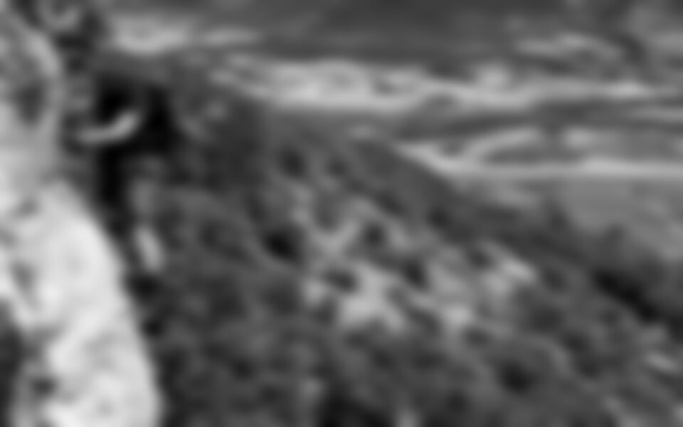 Ferraty Lago di Garda