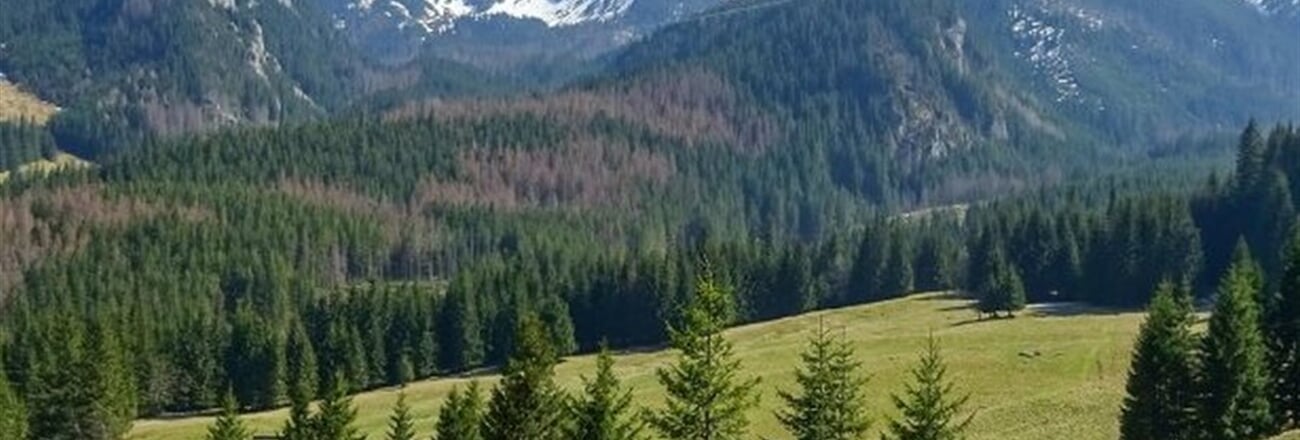 pl NAT Bukowina Tatrzańska ext 032